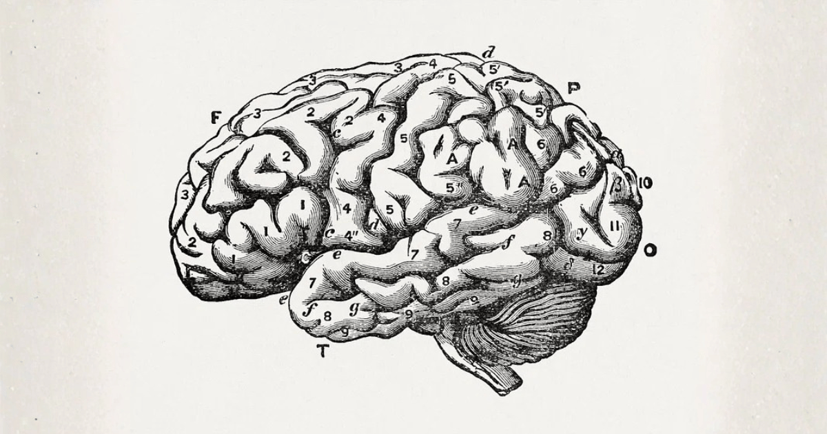 Abitudini mattutine memoria